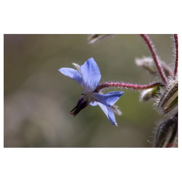 PHOTO84, CLUB, 84 , LUBERON